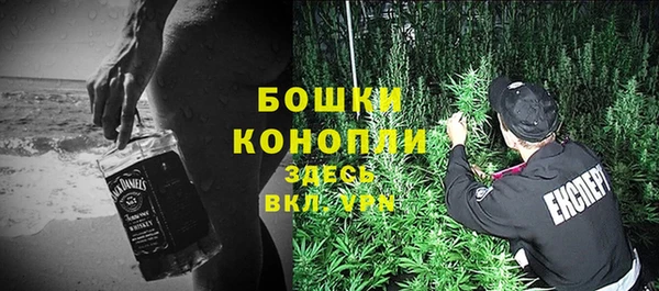ГАЛЛЮЦИНОГЕННЫЕ ГРИБЫ Вязники