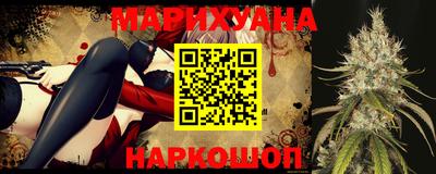 индика Гатчина