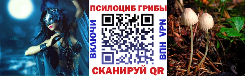 купить закладку  Владивосток  OMG tor  Псилоцибиновые грибы мухоморы 