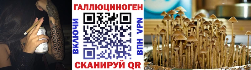 Псилоцибиновые грибы MAGIC MUSHROOMS Владивосток
