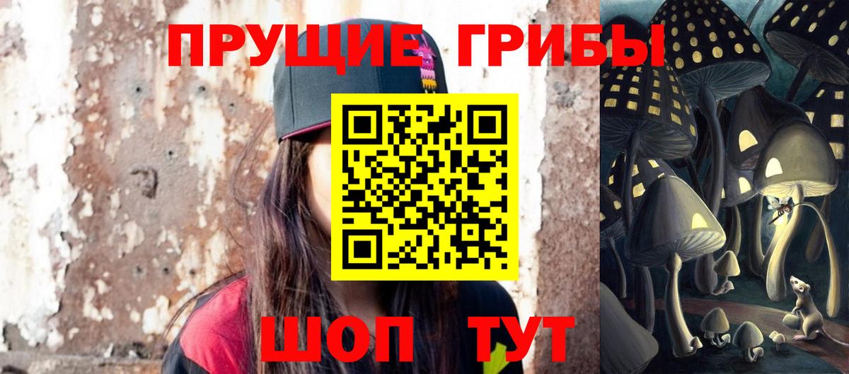 Галлюциногенные грибы прущие грибы  Владивосток 