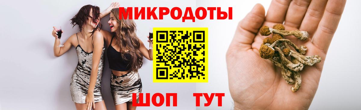 Псилоцибиновые грибы MAGIC MUSHROOMS Владивосток